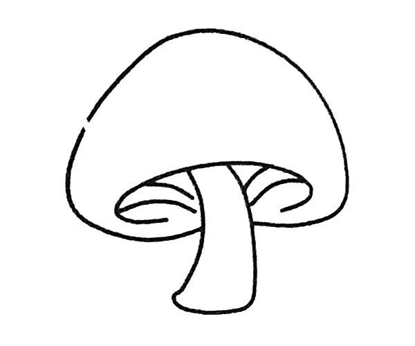 Learn to draw mushrooms in four steps