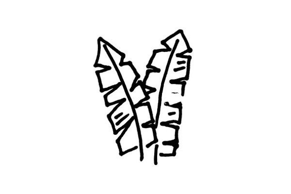 Simple drawing of banana tree leaves