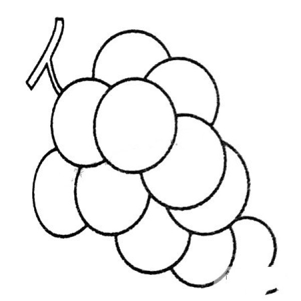 Complete collection of grape simple strokes and drawing steps