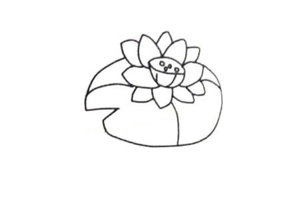 Learn to draw step by step: Lotus