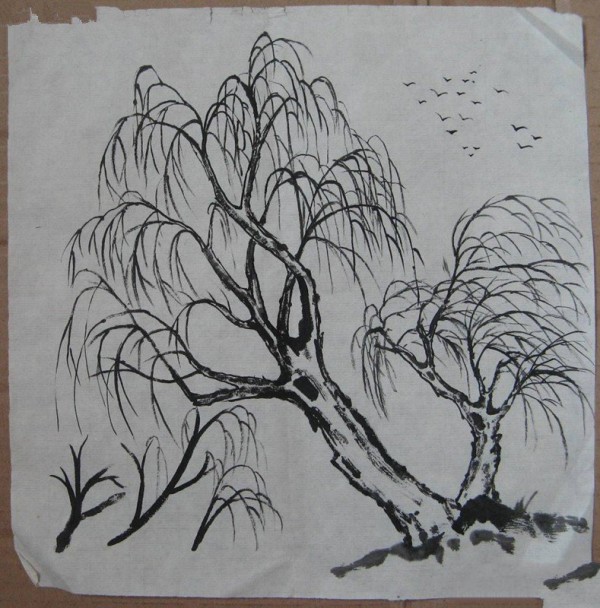 Excellent picture of simple strokes of willow plant