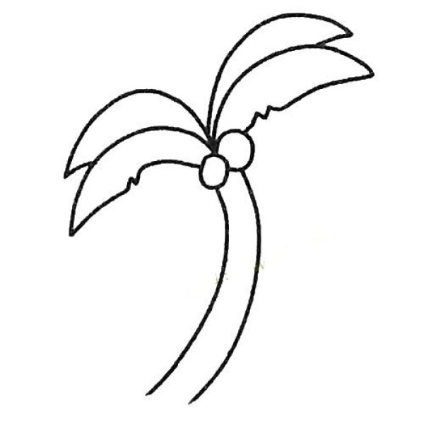 Complete collection of simple drawings for children, simple drawing tutorial of coconut tree