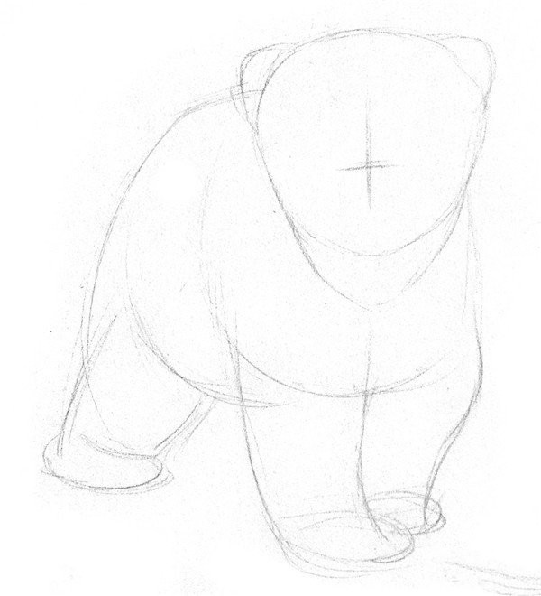 Drawing Tutorial of Sketching a Little Polar Bear