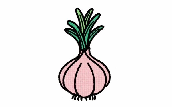 How to draw garlic with simple strokes