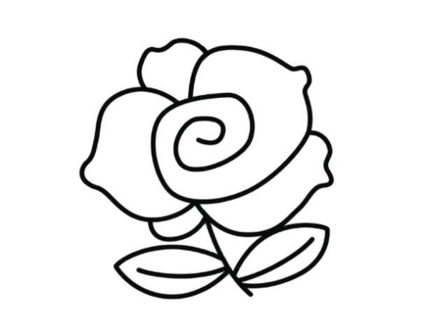 How to draw roses in color