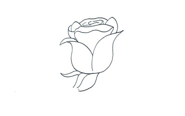 Detailed steps for drawing simple strokes of roses