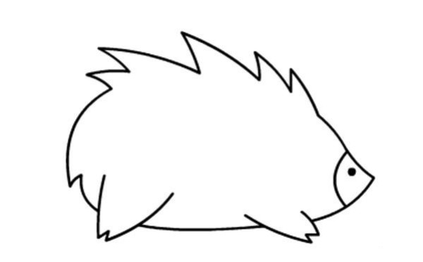 Childrens simple drawing pictures of hedgehogs