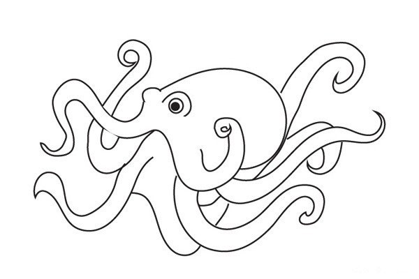 How to draw octopus in simple strokes