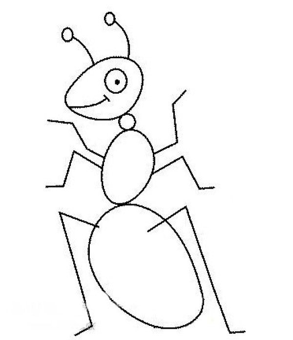 Kindergarten insect simple drawing lesson plan Ant