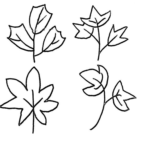 36 simple drawing pictures of leaves