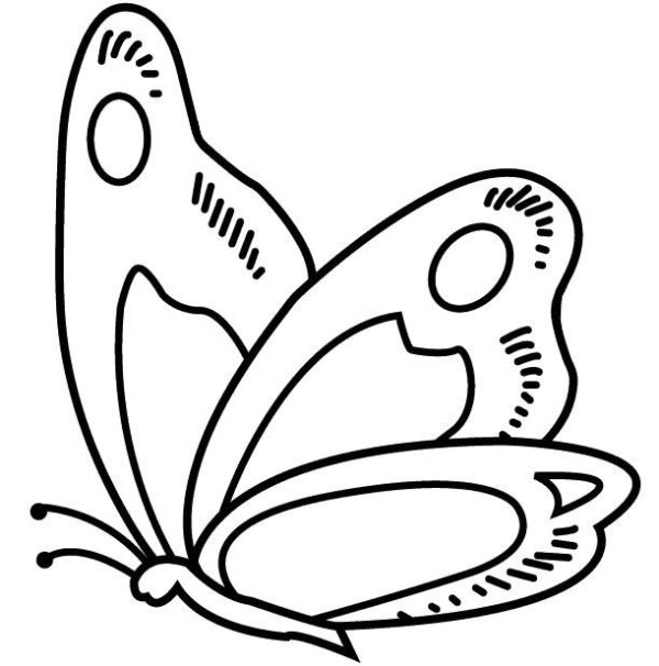 Complete collection of simple strokes of butterfly wings