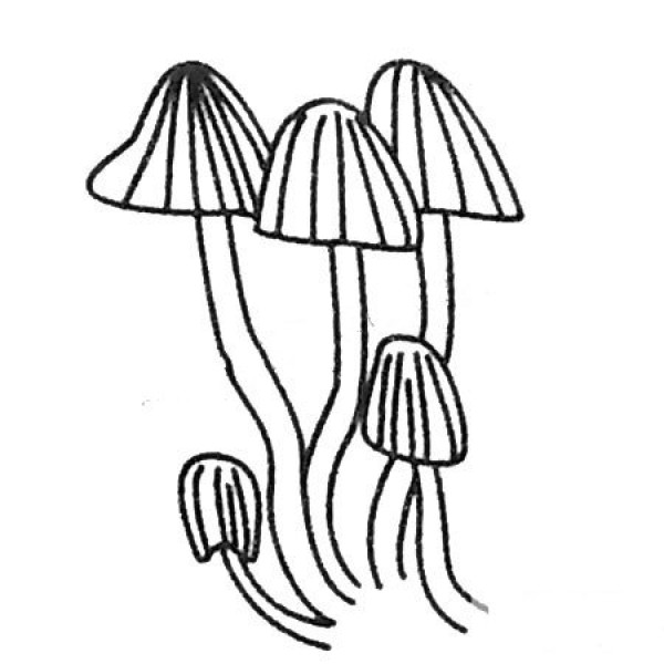 Simple mushroom drawing pictures