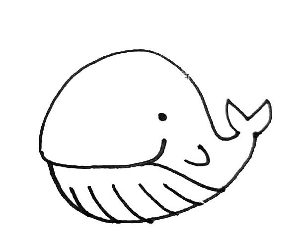 Learn to draw a cute whale