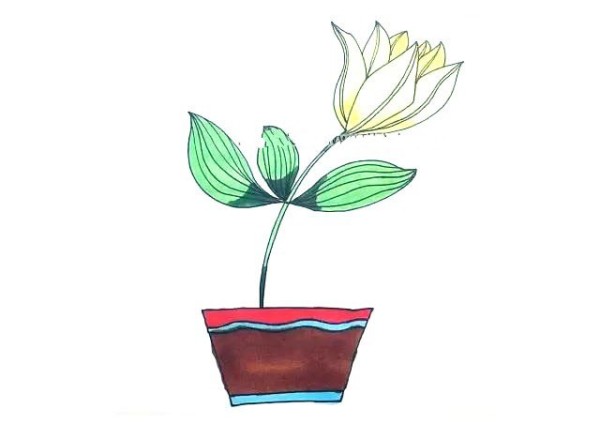 Painting lily potted plants