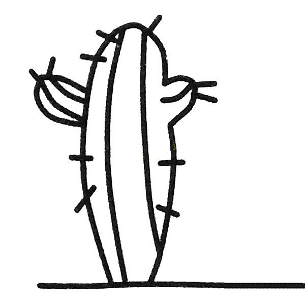 Tall cactus simple drawing picture