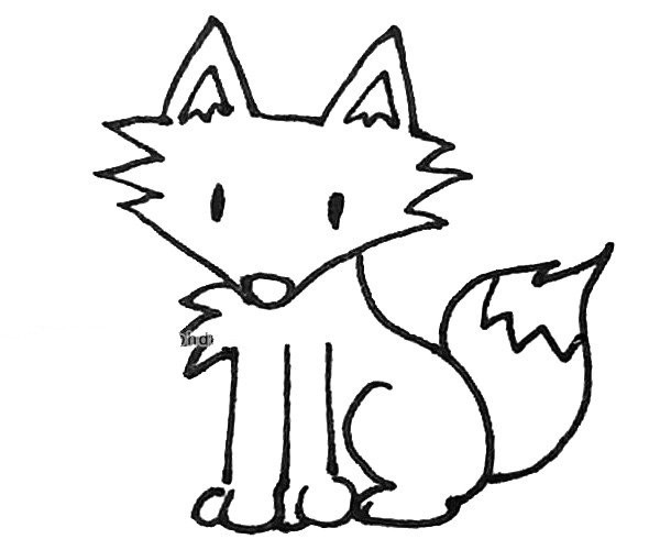 Draw a fox in 7 steps