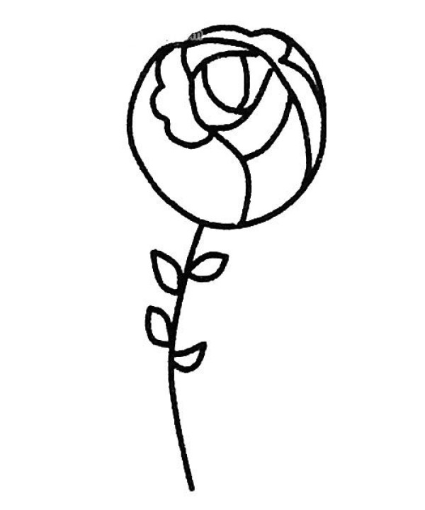 Six beautiful simple drawing pictures of roses