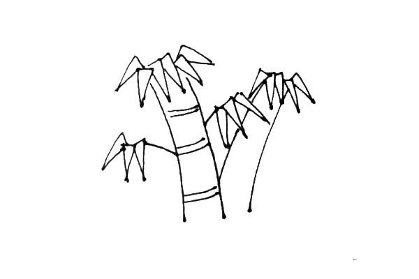 How to draw bamboo