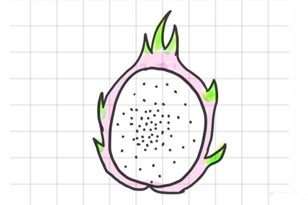 A set of fruit simple drawing pictures