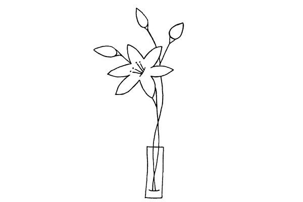 Draw beautiful lilies in four steps