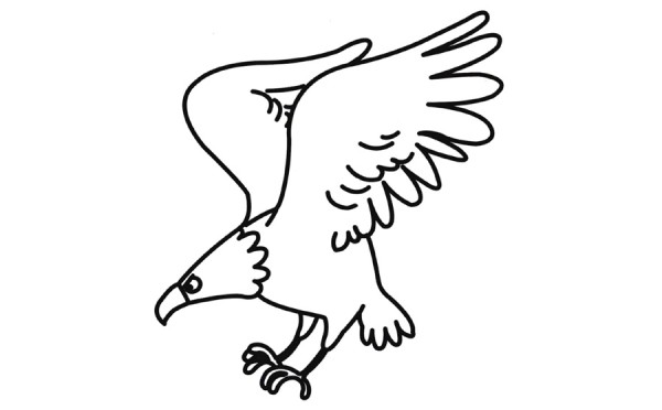 Cartoon eagle simple drawing coloring works