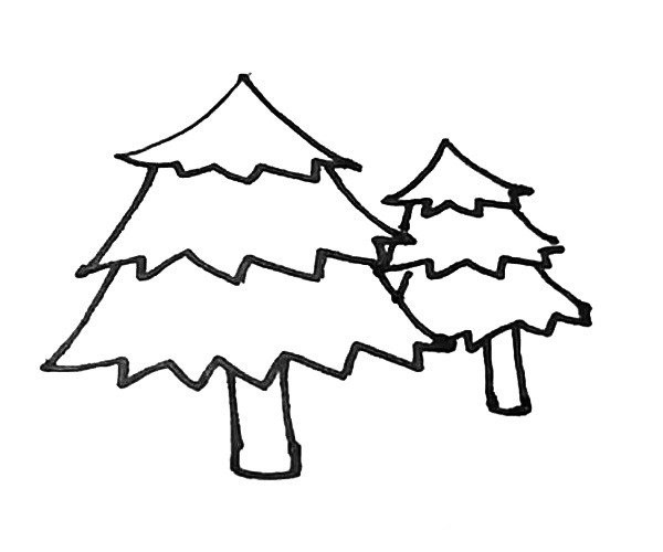 Learn to draw pine trees