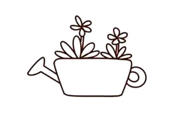 Beautiful succulents simple drawing 12