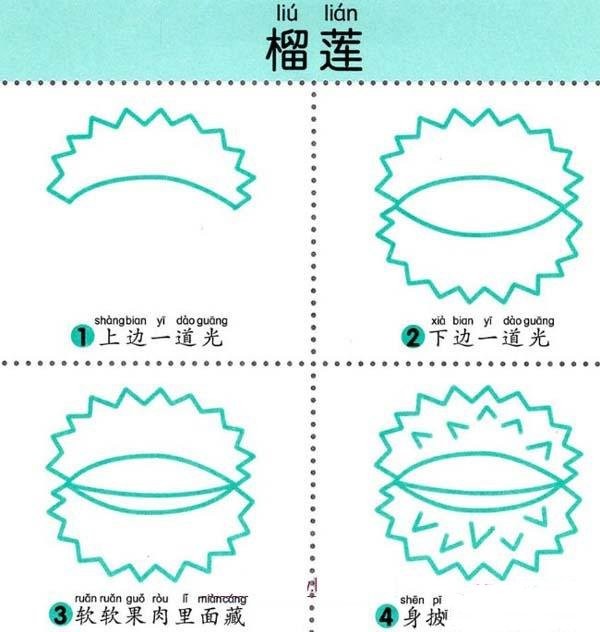 Durian simple drawing tutorial for kindergarten: How to draw durian