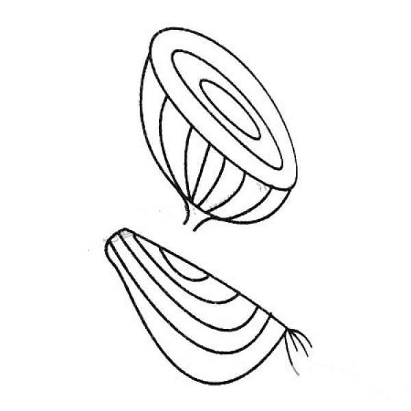 Complete collection of simple onion drawings and drawing steps