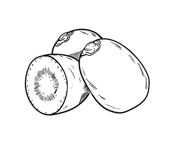 Beautiful simple drawing pictures of kiwi fruit