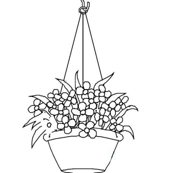 Simple drawing of hanging basket bonsai