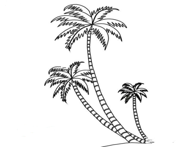 Coconut tree simple strokes picture