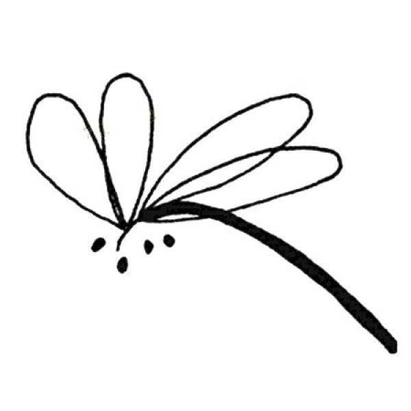 Simple animal drawings Dragonfly simple drawing pictures