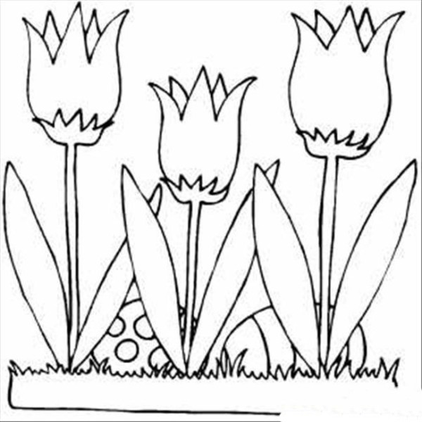 A complete collection of simple drawing pictures of flowers. Simple drawing pictures of lilies.