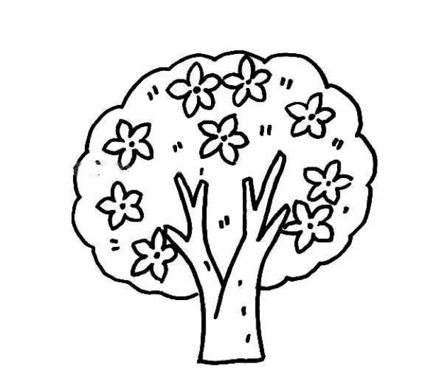 Peach Blossom Tree Simple Drawing Picture