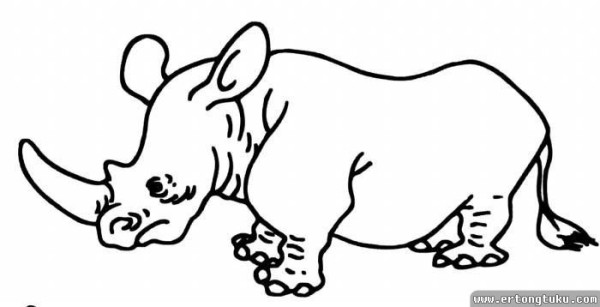 Rhinoceros simple drawing tutorial: tall rhinoceros