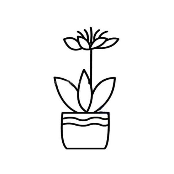 Simple drawing of beautiful small flowerpot