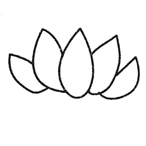 A complete collection of simple drawings of lotus and the steps of drawing