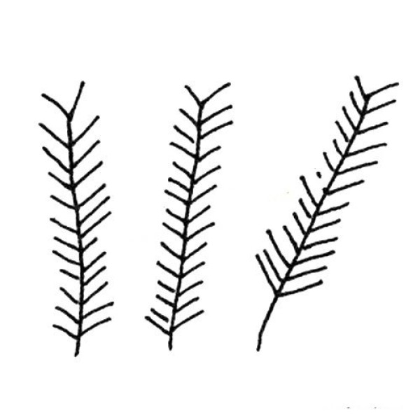 Simple strokes of leaves