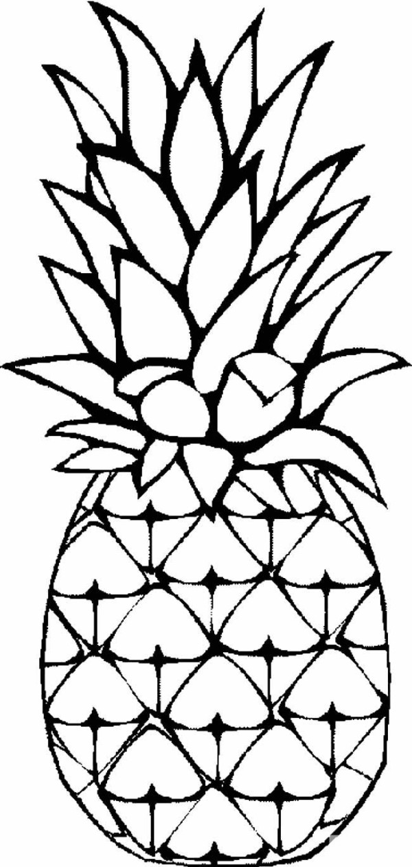 Complete collection of simple strokes of fruits, simple strokes of pineapple