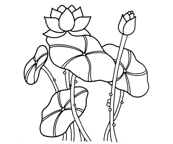 Simple drawing picture of lotus in the pond