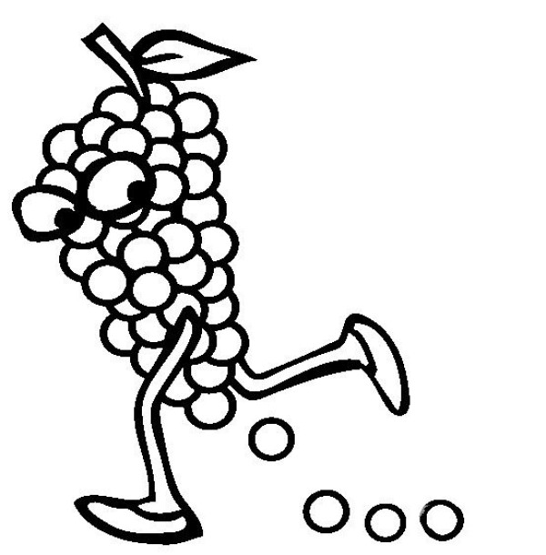 A complete collection of simple drawings of fruits and simple drawings of cartoon grapes