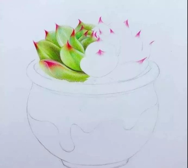 Colored lead painting~Teach you how to draw a combination of succulent flowers and pots!