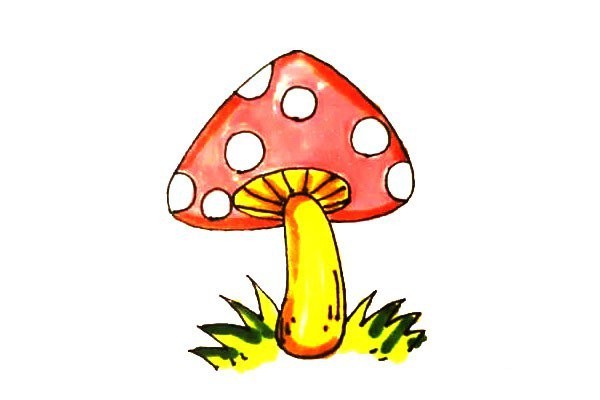 How to draw beautiful mushrooms