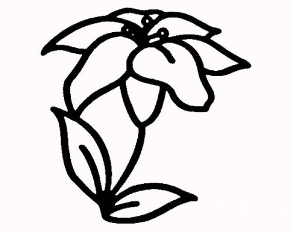 How to draw lilies in simple strokes