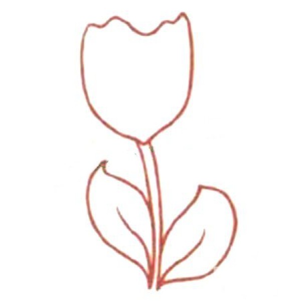 Simple Q version tulip drawing tutorial