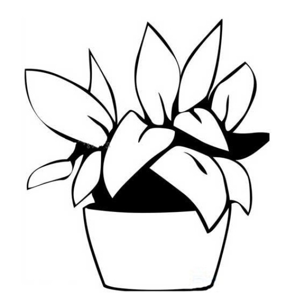 Simple drawing of flowerpot and flowers