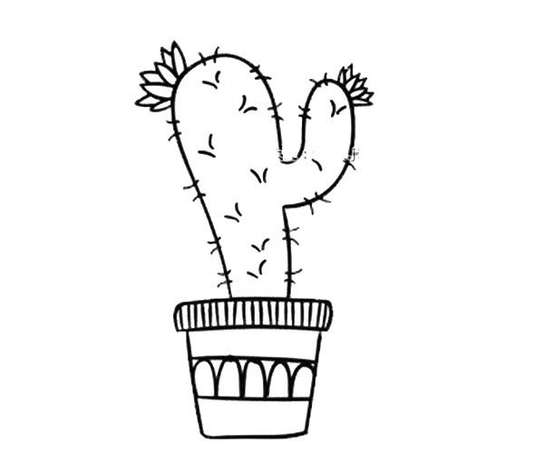 A set of beautiful simple drawing pictures of cactus