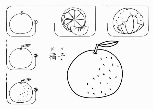 How to draw oranges with simple strokes