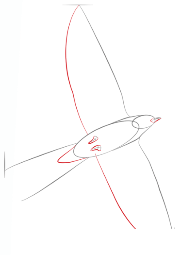 How to draw a swallow with simple strokes